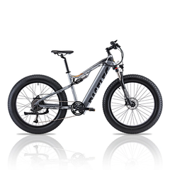 Hedatx GS9 48V 1000W 16Ah Electric Bike