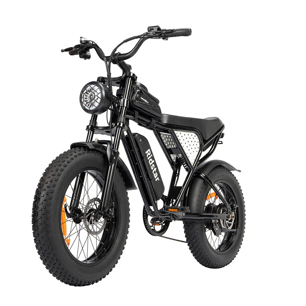 Bicicletta elettrica Ridstar Q20 48V 1000V 15Ah