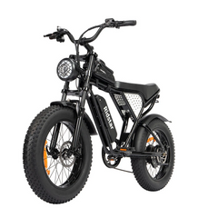 Ridstar Q20 48V 1000V 15Ah Electric Bike