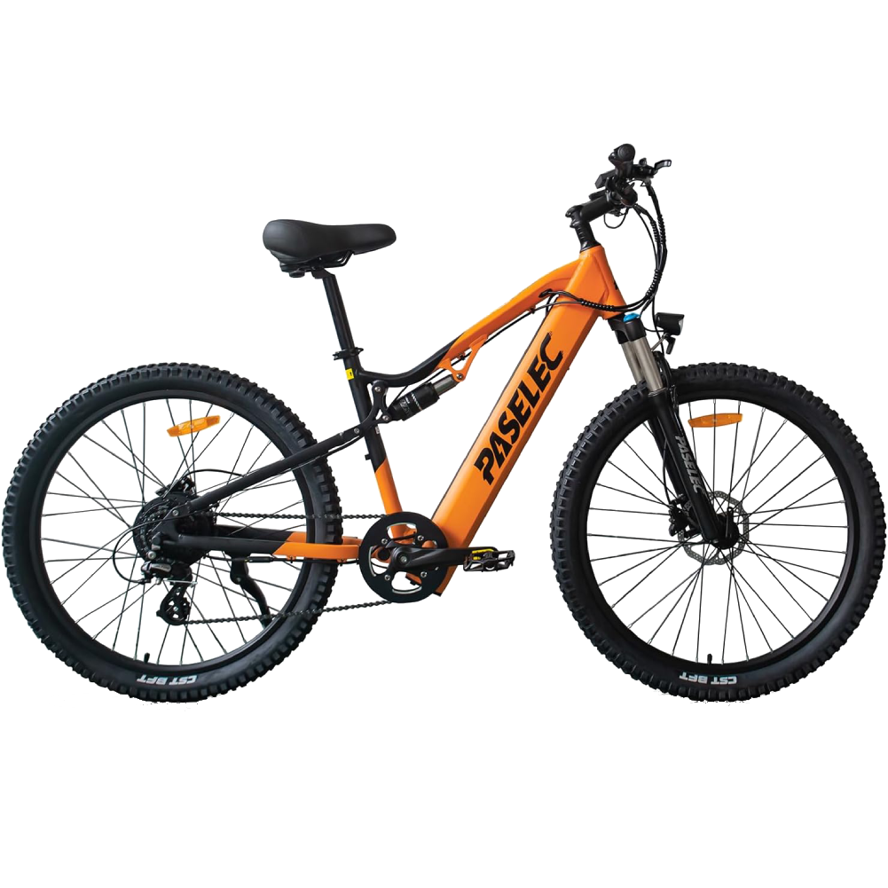 Hedatx GS9 48V 1000W 16Ah Electric Bike