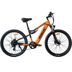 Hedatx GS9 48V 1000W 16Ah Electric Bike