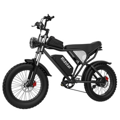 Bicicletta elettrica Ridstar Q20 48V 1000V 20Ah