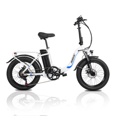 Hedatx PX3 48V 1000W 16Ah Electric Bike