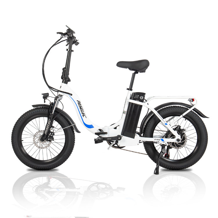 Hedatx PX3 48V 1000W 16Ah Electric Bike