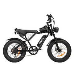 Bicicleta elétrica Ridstar Q20 48V 1000V 15Ah