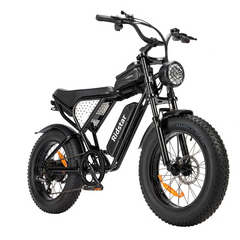 Bicicletta elettrica Ridstar Q20 48V 1000V 15Ah