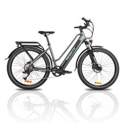 Hedatx TX10 48V 1000W 15.6Ah / 19.2Ah Electric Bike