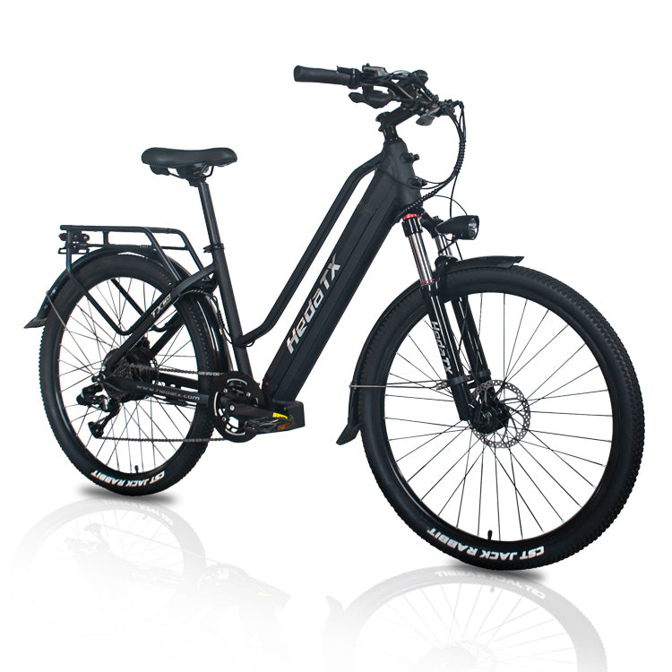 Hedatx TXC10 48V 1000W 19.2Ah Electric Bike