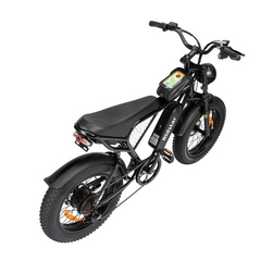 Bicicletta elettrica Ridstar Q20 48V 1000V 15Ah