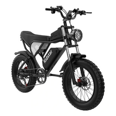 Bicicletta elettrica Ridstar Q20 48V 1000V 20Ah