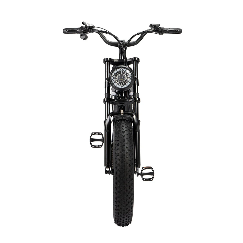 Ridstar Q20 48V 1000V 15Ah Electric Bike