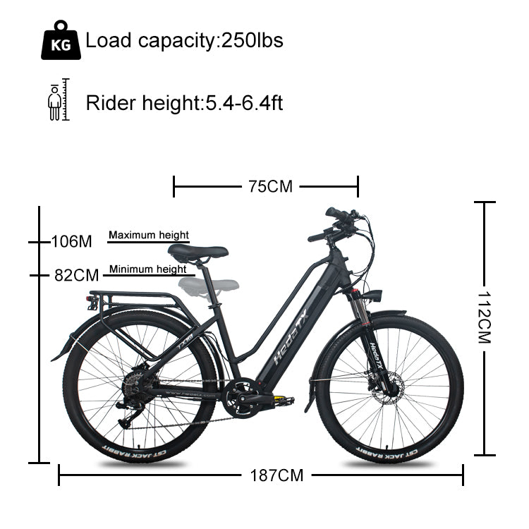 Hedatx TXC10 48V 1000W 19.2Ah Electric Bike