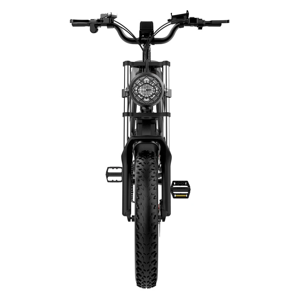 Ridstar Q20 48V 1000V 20Ah Electric Bike