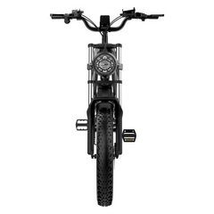 Bicicletta elettrica Ridstar Q20 48V 1000V 20Ah