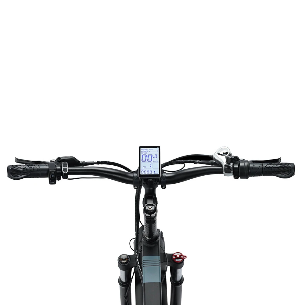 Ridstar H20 48V 1000V 15Ah Electric Bike