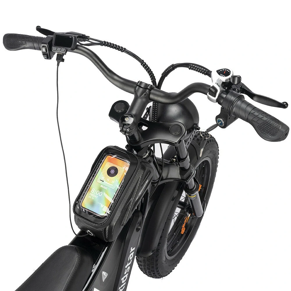 Ridstar Q20 48V 1000V 15Ah Electric Bike